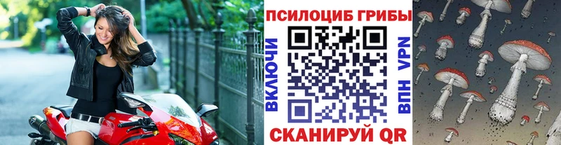 Псилоцибиновые грибы прущие грибы наркота Сокол